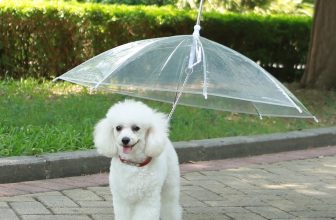 The umbrella has new logo upon it, much more attractive.Built-in leash hook which is 8", 29" Diameter while opening and 26" for the handle length umbrella Great design, easy to handle. It fits your dog which is less than 12 lbs 19" length Puppy (yorkie/Peddy/Pomeranian/Poodle) Perfect for your pets that don't like going out in the rain or snow weather Made in USA,Suggest FBA(Fulfillment By Amazon), it will delivered in 1-3 days; 30 days guarantee