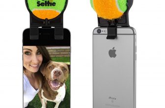 Dog Selfie Stick - OMG Gimme